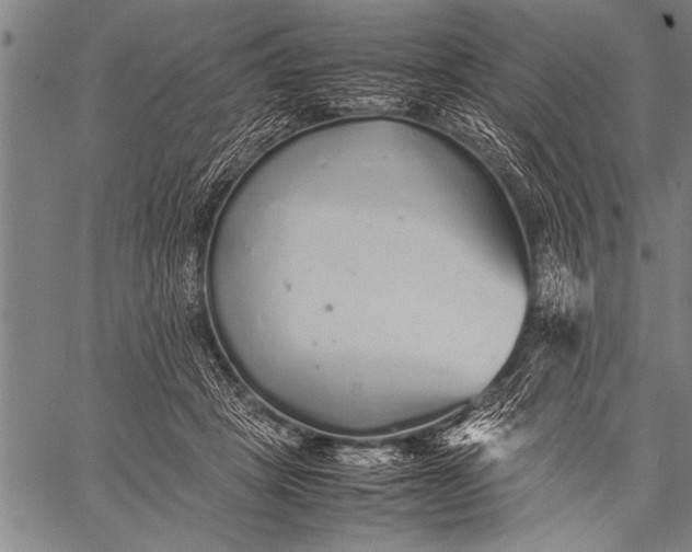 X0000057100457200509301621