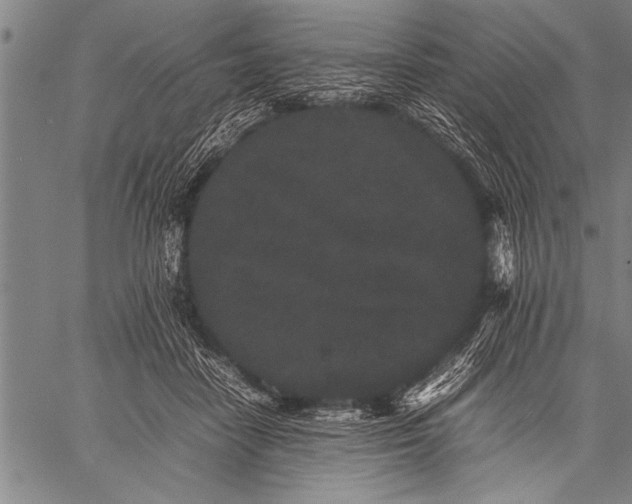 X0000057100458200509301621