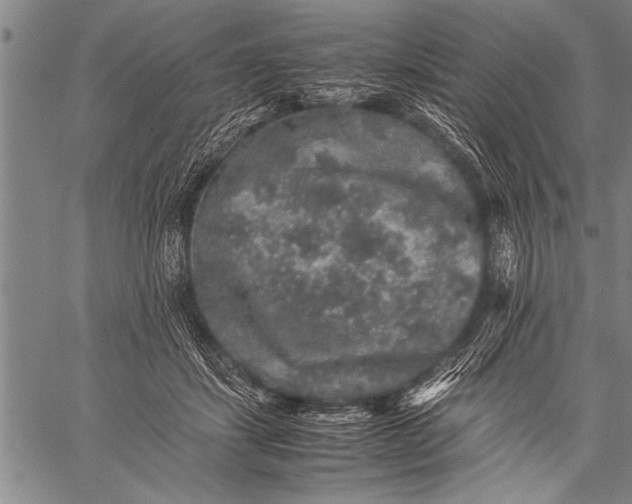 X0000057100459200509301621