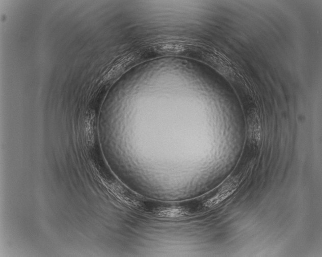 X0000057100460200509301621