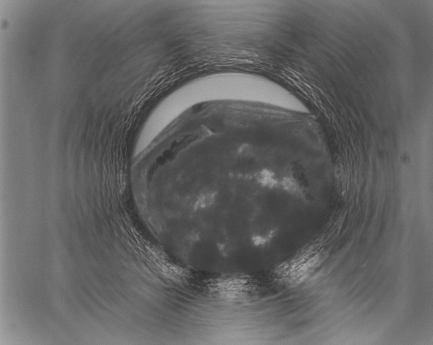 X0000057100462200509301621