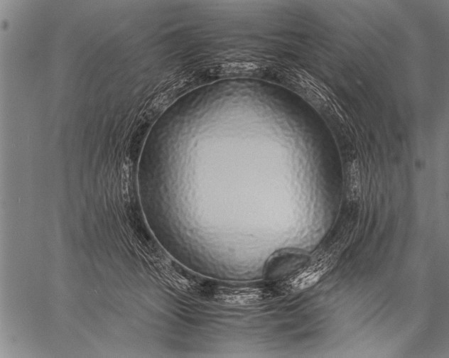 X0000057100463200509301621