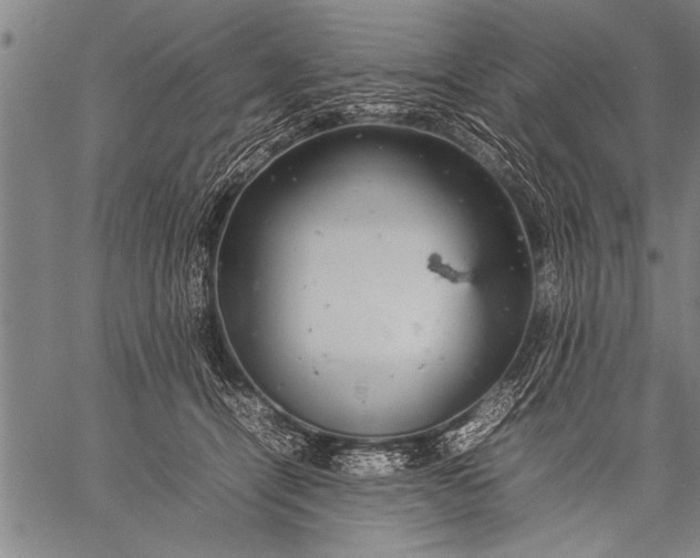 X0000057100464200509301621