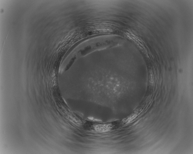 X0000057100465200509301621