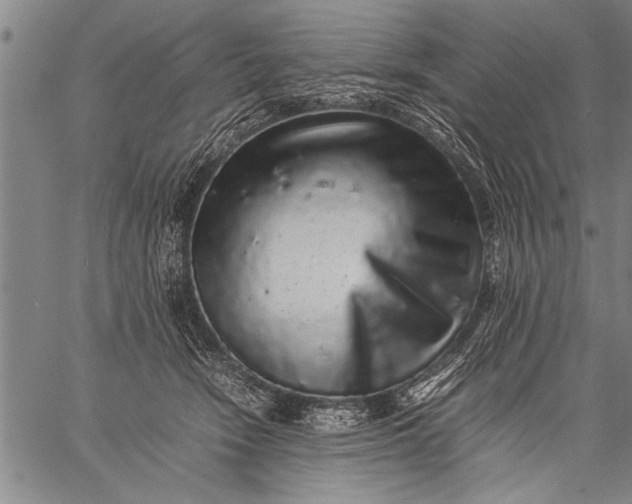 X0000057100466200509301621