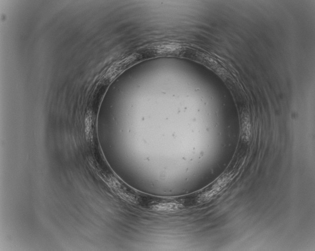 X0000057100468200509301621