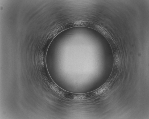 X0000057100470200509301621