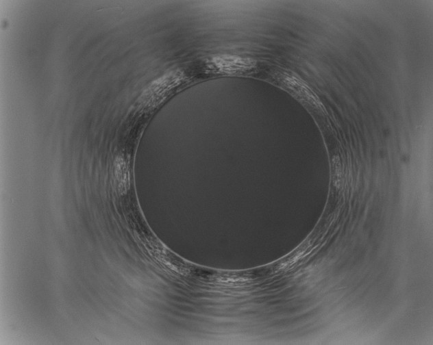 X0000057100471200509301621