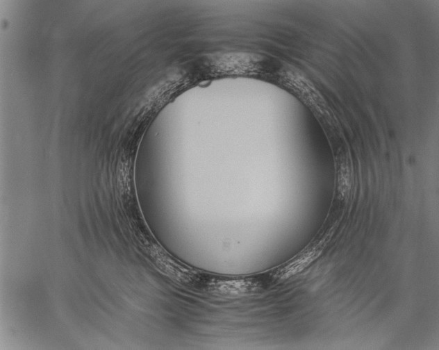 X0000057100473200509301622