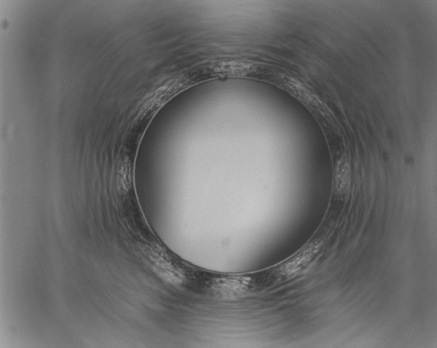 X0000057100474200509301622