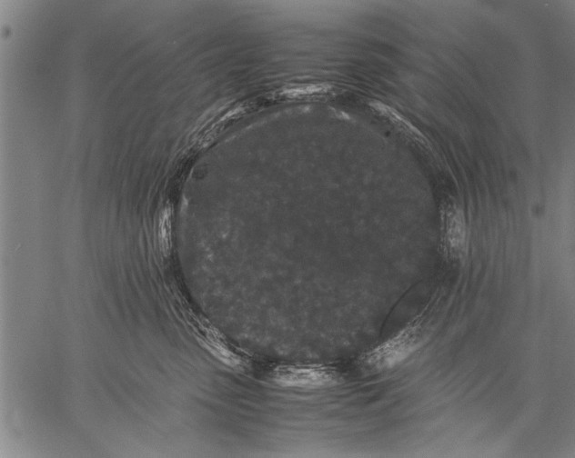 X0000057100475200509301622