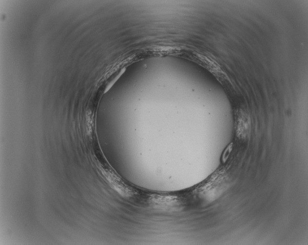 X0000057100476200509301622