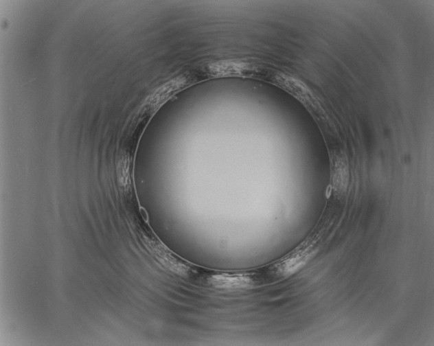 X0000057100477200509301622