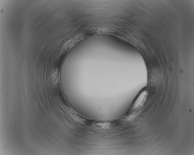 X0000057100478200509301622