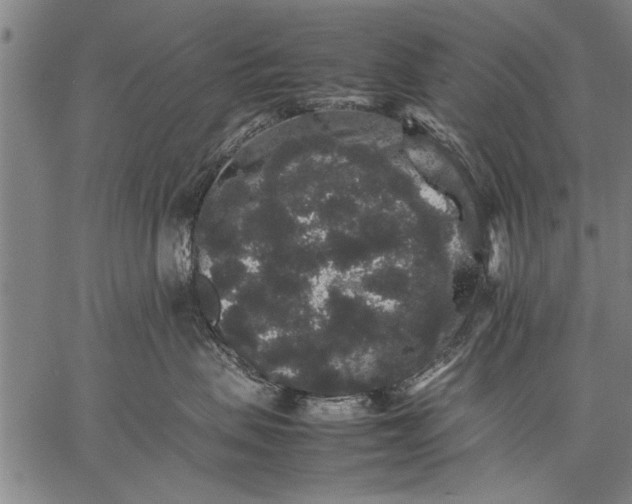 X0000057100479200509301622