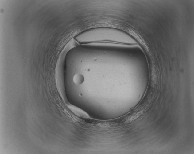 X0000057100481200509301621