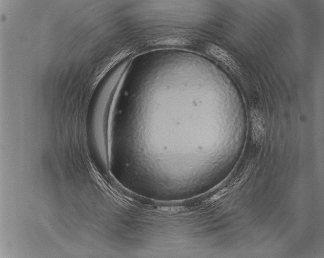 X0000057100482200509301621