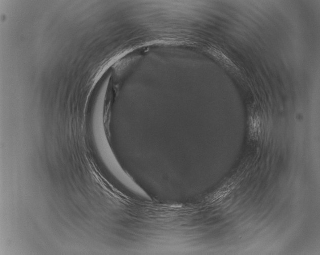 X0000057100484200509301621