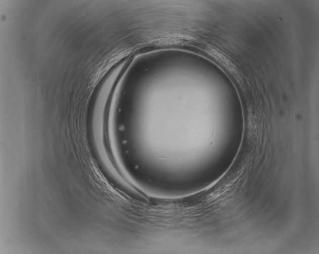 X0000057100485200509301621