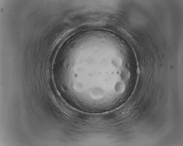 X0000057100487200509301621