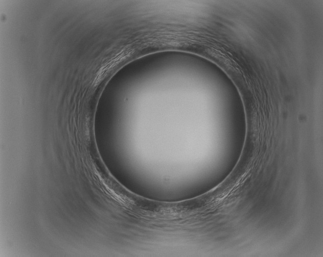 X0000057100489200509301621