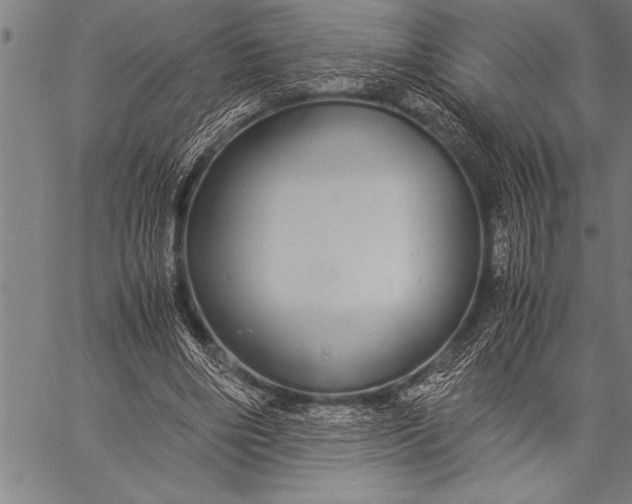 X0000057100490200509301621