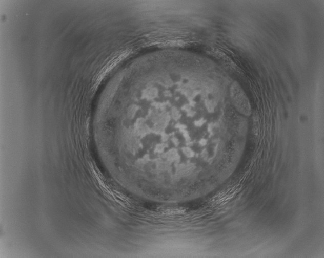 X0000057100491200509301621