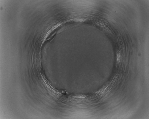 X0000057100492200509301621