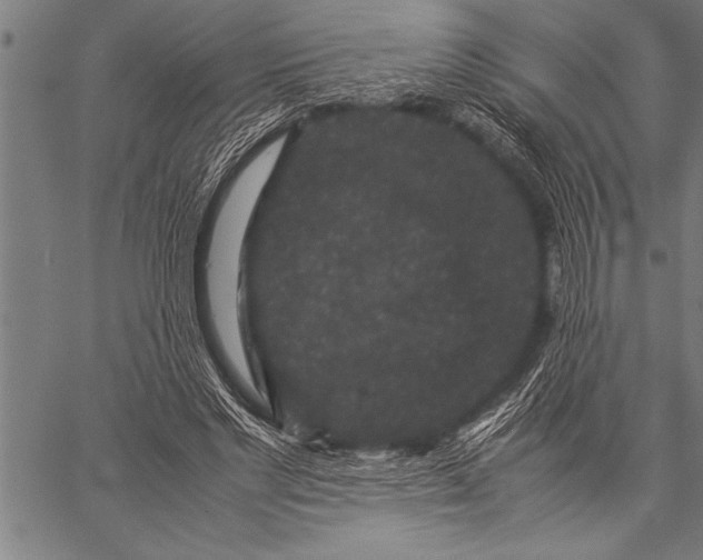 X0000057100493200509301621