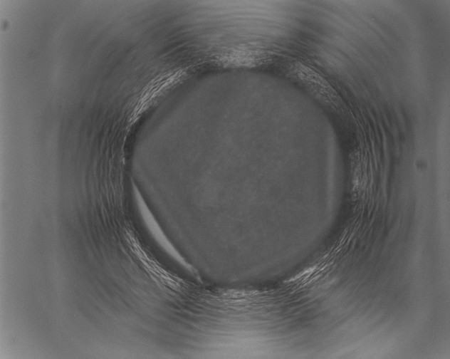 X0000057100494200509301621