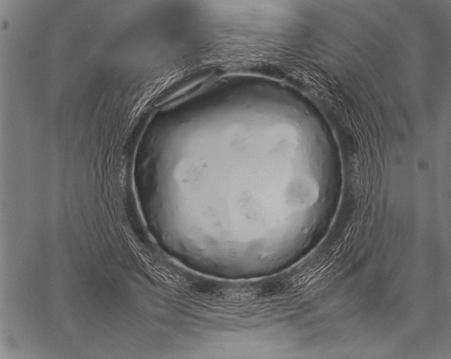 X0000057100495200509301621