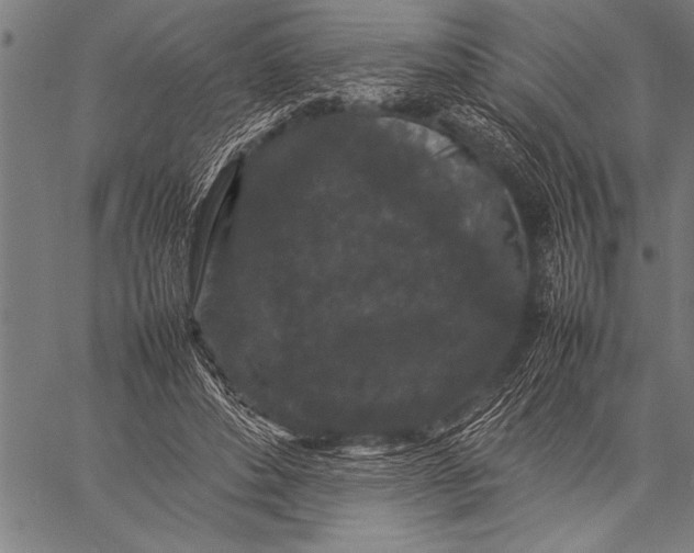 X0000057100496200509301621