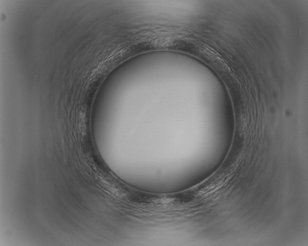 X0000057100497200509301621