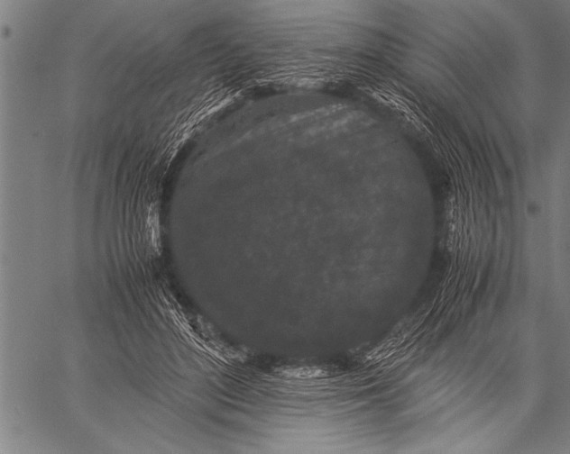 X0000057100500200509301621