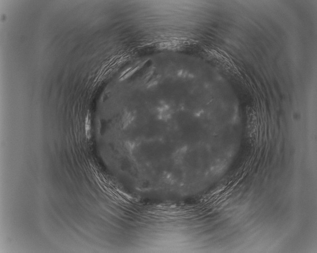 X0000057100502200509301620