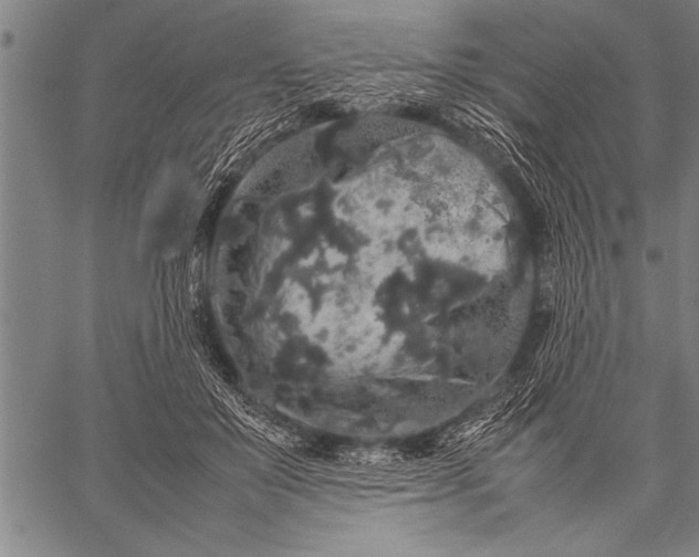 X0000057100503200509301620