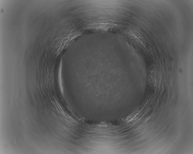 X0000057100504200509301620