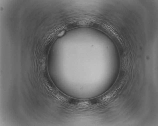 X0000057100505200509301620