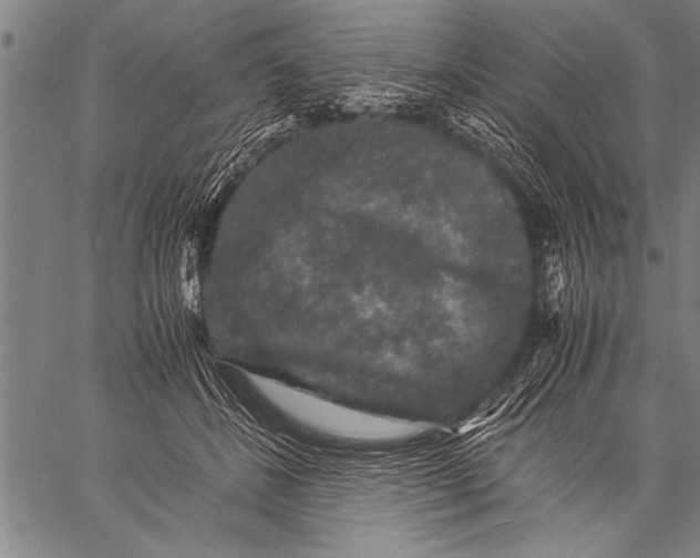 X0000057100508200509301620