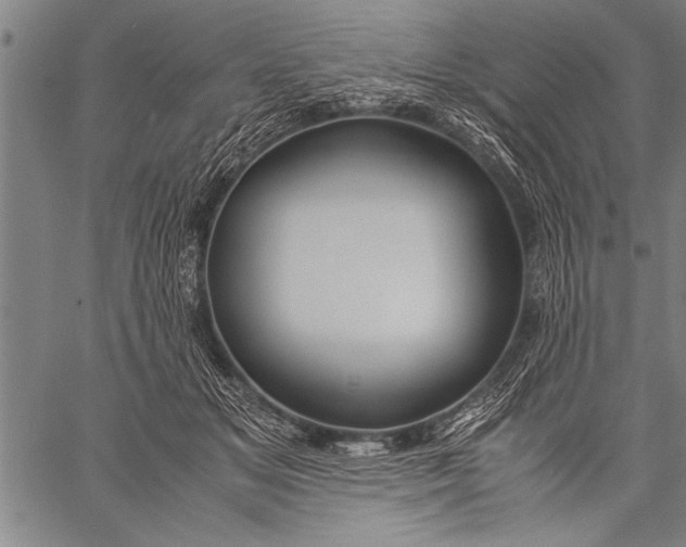 X0000057100509200509301620