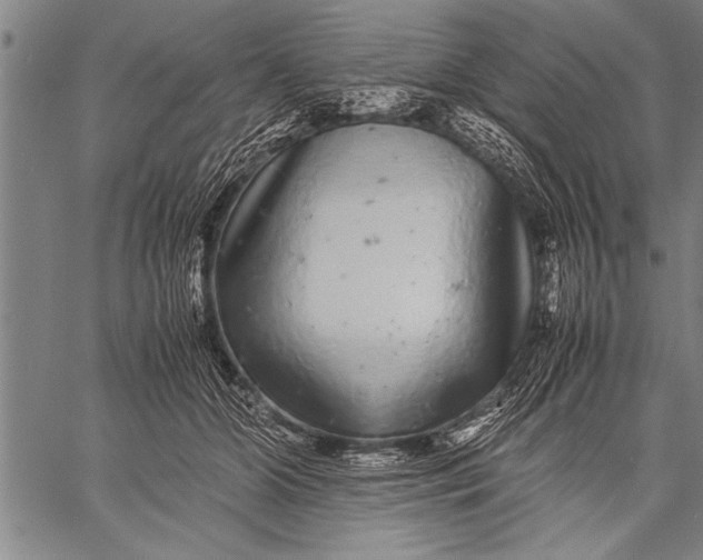 X0000057100510200509301620