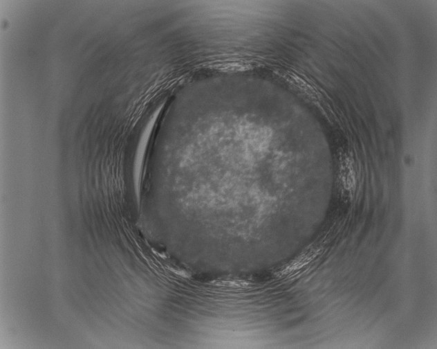 X0000057100512200509301620