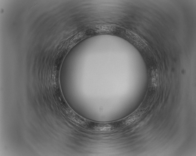 X0000057100514200509301620