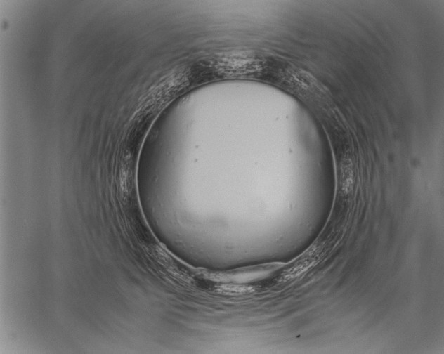 X0000057100515200509301620