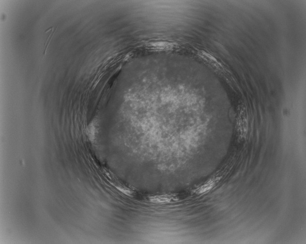 X0000057100516200509301620