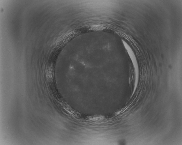 X0000057100517200509301620