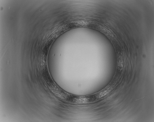 X0000057100518200509301620