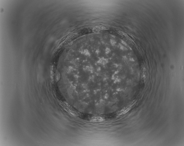 X0000057100519200509301620