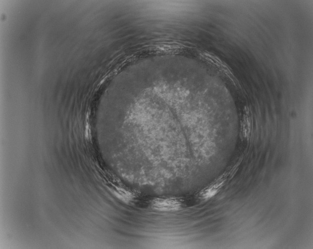 X0000057100520200509301620