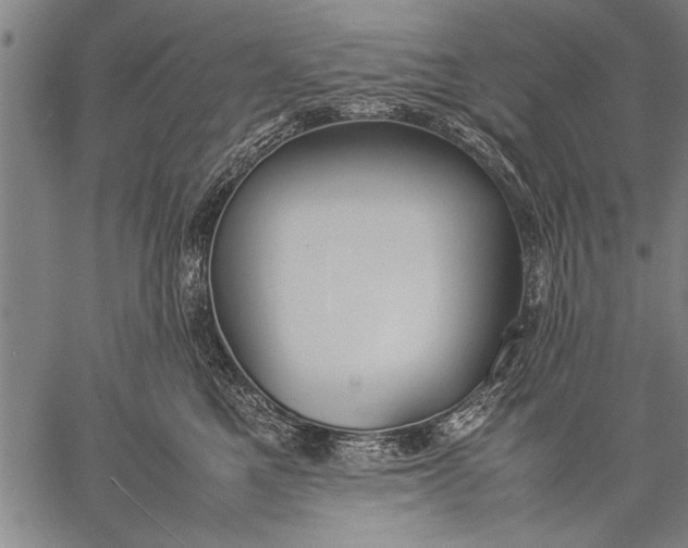 X0000057100521200509301620